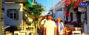 Private Bus Tour - 4 hours