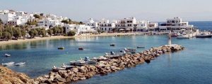Semi-private Bus Tour - 7 hours