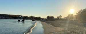 Horse riding in Paros.
