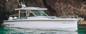 Private sea transports - water taxi