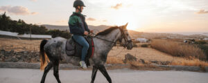 Horse riding tour