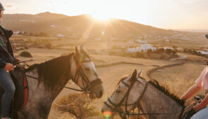 05. Horse riding tour