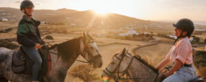 Horse riding tour