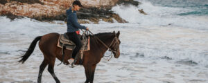 Horse riding tour