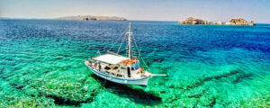 Half day snorkeling cruise in Parikia or Naousa Bay